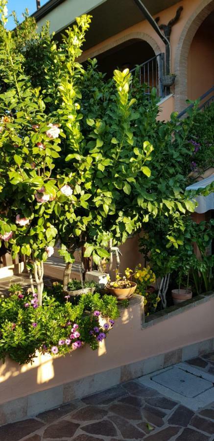 B&B Vista Su Roma Marco Simone Luaran gambar